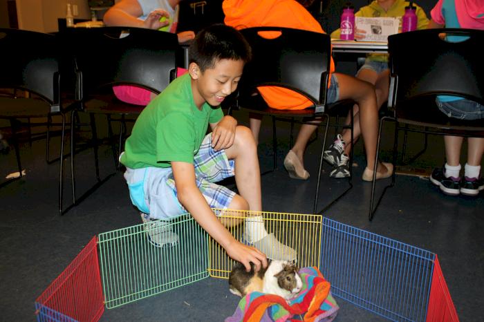 Campers explore genetics with Chubby the guinea pig